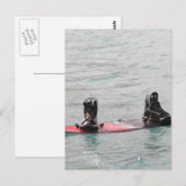 Ontbrekend Briefkaart Wakeboarder (Voorkant / Achterkant)