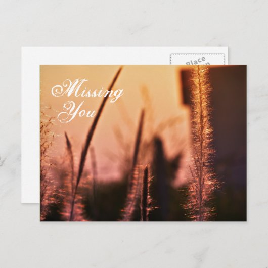 Ontbrekend - briefkaarten (Voorkant / Achterkant)