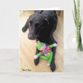 Ontbrekend Chocolate Lab met Speelgoed-foto Kaart (Voorkant)