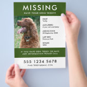 Ontbrekend pakket | Modern Green Photo Poster Flye Flyer (Hand)