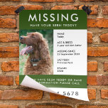 Ontbrekend pakket | Modern Green Photo Poster Flye Flyer<br><div class="desc">Een simpele sjabloon van het poster van het ontbrekende gezelschapsdier, om het bewustzijn te helpen verspreiden bij het zoeken naar een vermiste hond, kat of ander gezelschapsdier. De tekst is gemakkelijk te personaliseren met inbegrip van naam, leeftijd, ras, ontbrekende datum, plaats het laatst gezien, beloning of andere informatie. Er is...</div>