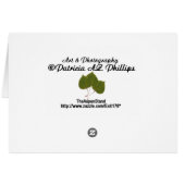 Ontbrekend Schilderachtig Uitzicht foto-sjabloon v (Achterkant Horizontaal)