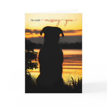 Ontbrekend U Dog Silhouette door een Sunset Lake