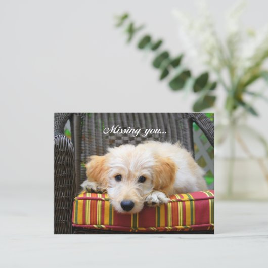 Ontbrekend U Golden Doodle Briefkaart (Staand voorkant)