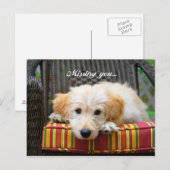 Ontbrekend U Golden Doodle Briefkaart (Voorkant / Achterkant)