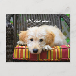 Ontbrekend U Golden Doodle Briefkaart