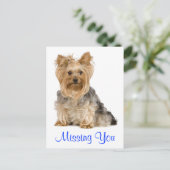 Ontbrekend U Yorkshire Terrier Puppy Dog Briefkaar Briefkaart (Staand voorkant)