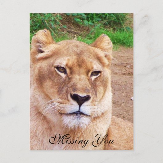 Ontbrekend You_ Briefkaart (Voorkant)