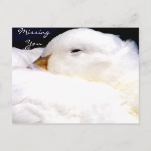 Ontbrekend You_ Briefkaart