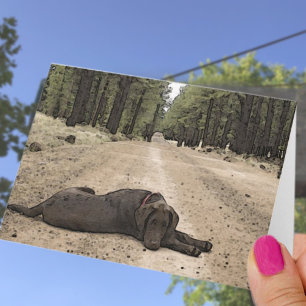 Ontbrekend You Chocolate Lab op Forest Trail Sjabl Kaart