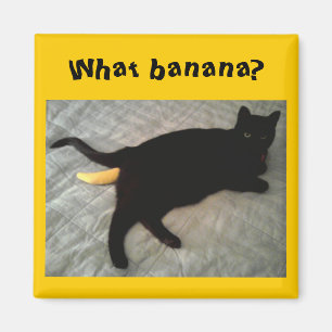 Ontbrekende bananenkat-speelgoed magneet