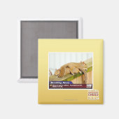 Ontbrekende berichten magneet (Voorkant / Achterkant)