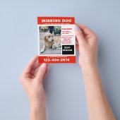 Ontbrekende hond foto advertentieposter flyer (Hand)