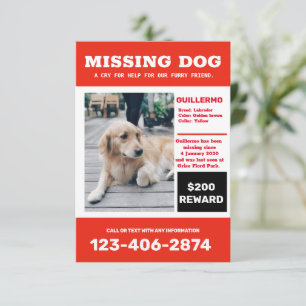 Ontbrekende hond foto advertentieposter kaart