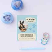 Ontbrekende Hond Modern Blauw Foto Poster Flyer (Enkel)