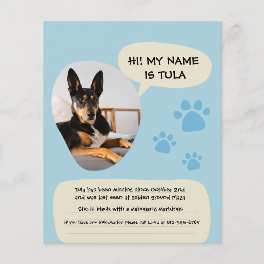 Ontbrekende Hond Modern Blauw Foto Poster Flyer (Voorkant)