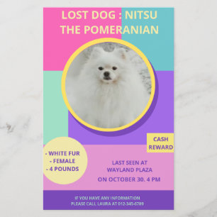 Ontbrekende Hond Modern Kleurrijk Foto Poster Flyer