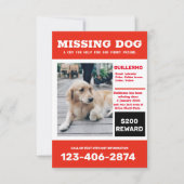 Ontbrekende hondenfoto en poster kaart (Voorkant)