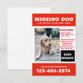 Ontbrekende hondenfoto en poster kaart (Voorkant / Achterkant)