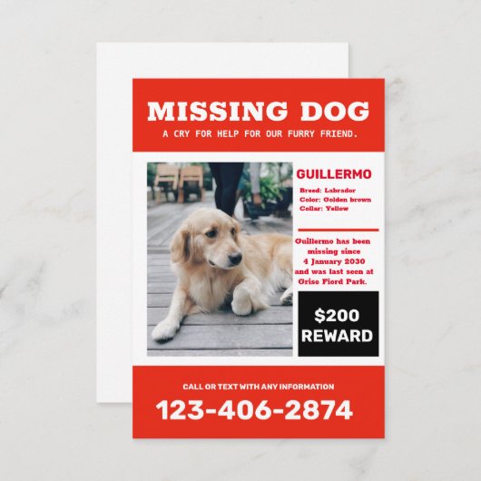 Ontbrekende hondenfoto en poster kaart (Voorkant / Achterkant)