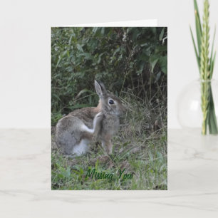 Ontbrekende jij/konijn kaart