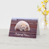 Ontbrekende Kaart voor poolBeer -  (Gele Bloem)