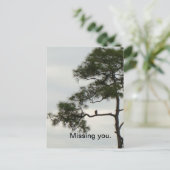 Ontbrekende Osprey Briefkaart (Staand voorkant)