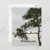 Ontbrekende Osprey Briefkaart (Voorkant / Achterkant)