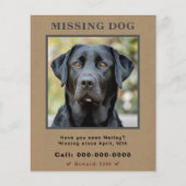 Ontbrekende PET Custom Photo Flyer (Voorkant)