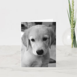 Ontbrekende puppy kaart