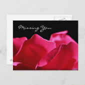 Ontbrekende roze roze roze roze petals briefkaart (Voorkant / Achterkant)