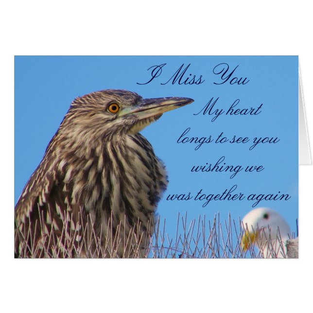 Ontbrekende U_ (Voorkant Horizontaal)