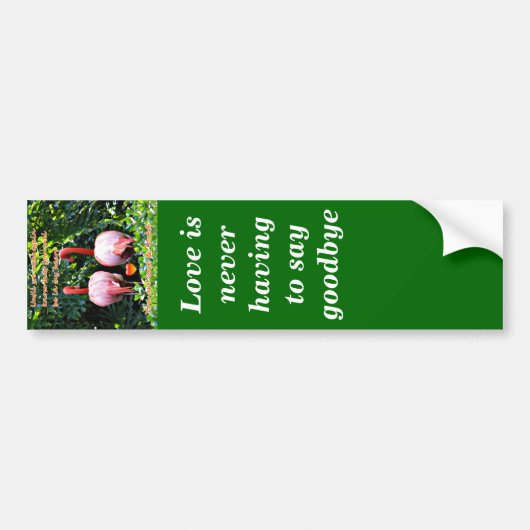 Ontbrekende U_ Bumpersticker (Voorkant)