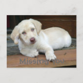 Ontbrekende U Yellow Labrador Retriever Briefkaart (Voorkant)