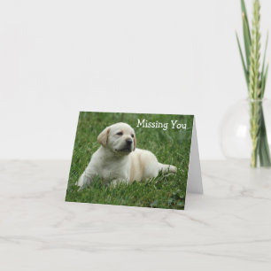 Ontbrekende You Yellow Labrador Retriever Puppy Ca Kaart