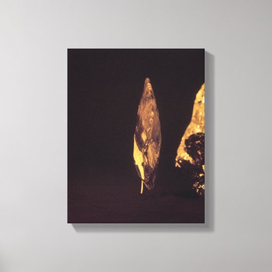 Ontdaan van de hals of speerkop canvas afdruk (Voorkant)