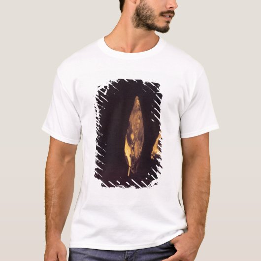 Ontdaan van de spier t-shirt (Voorkant)
