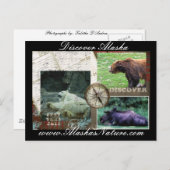 Ontdek Alaska Briefkaart (Voorkant / Achterkant)