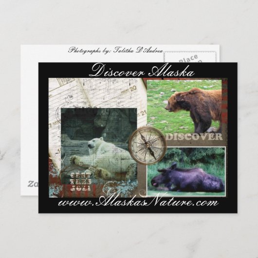 Ontdek Alaska Briefkaart (Voorkant / Achterkant)