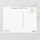 Ontdek Alaska Briefkaart (Achterkant)