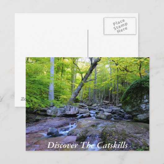 Ontdek de Catskills 5 Briefkaart (Voorkant / Achterkant)