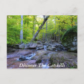 Ontdek de Catskills 5 Briefkaart (Voorkant)