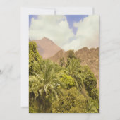 Ontdek de oase feestdagenkaart (Voorkant)