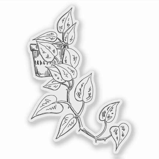 Ontdek de Pothos Sticker (Voorkant)