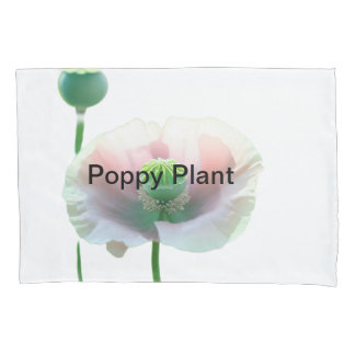 🌺 Ontdek de schoonheid van Natuur - POPPY FLOWER Kussensloop
