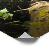 Ontdek Dream Discover Hiking Poster (Hoek)