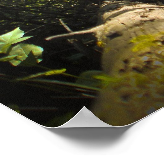 Ontdek Dream Discover Hiking Poster (Hoek)