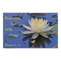 Ontdek het kwaad met Goede Lily