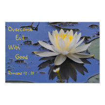 Ontdek het kwaad met Goede Lily