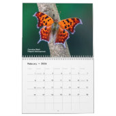 Ontdek Ohio Outdoors Vlinders van Ohio Agenda Kalender (Feb 2026)